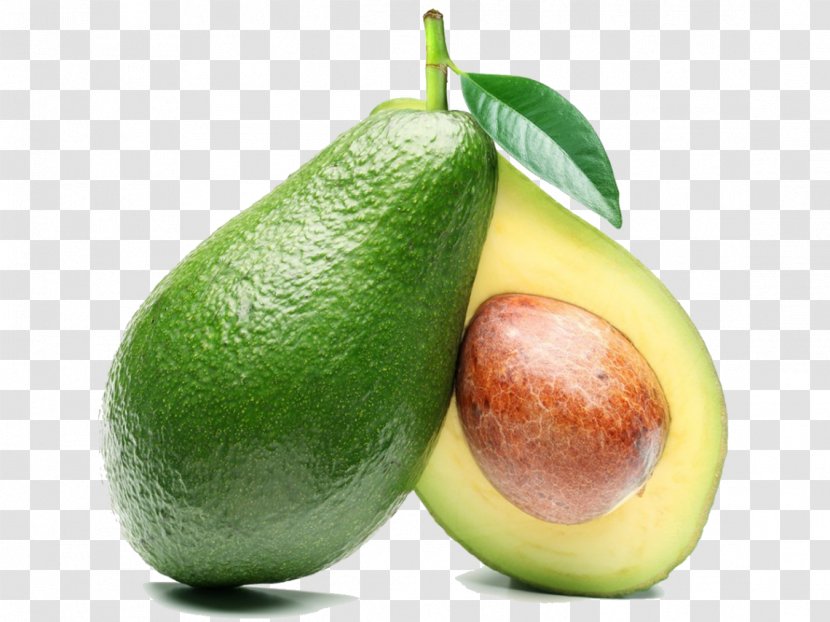 Hass Avocado Fruit Health Vegetable Fat - Still Life Photography Transparent PNG