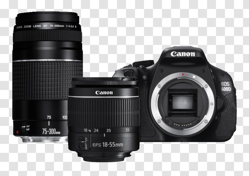 Canon EOS 600D 5D Mark III 700D Digital SLR - Lens - Camera Transparent PNG