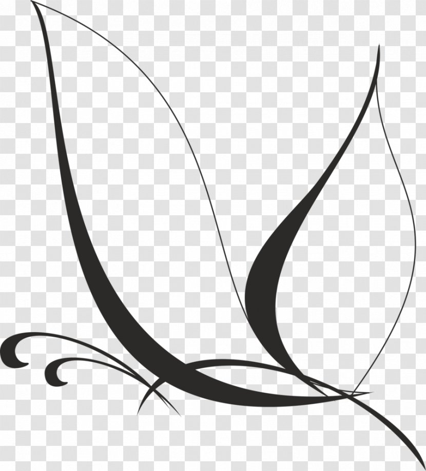 Butterfly Drawing Logo Clip Art - Plant - Vector Transparent PNG