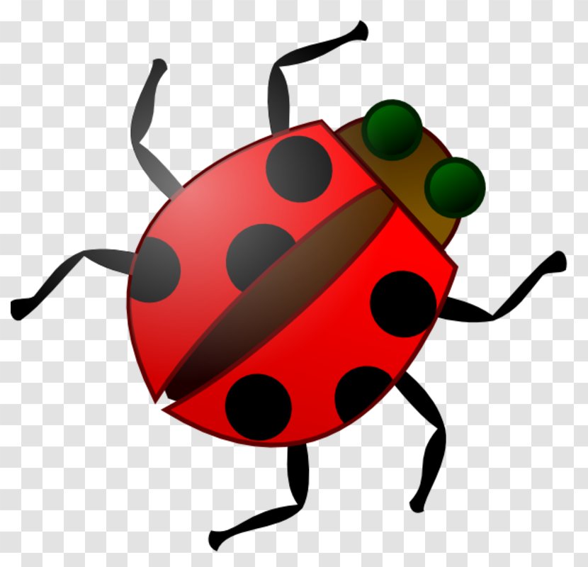 Download Clip Art - Software Bug - Beetle Transparent PNG