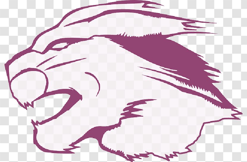 Cougar Clip Art Drawing Image Vector Graphics - Nose - Fur Transparent PNG