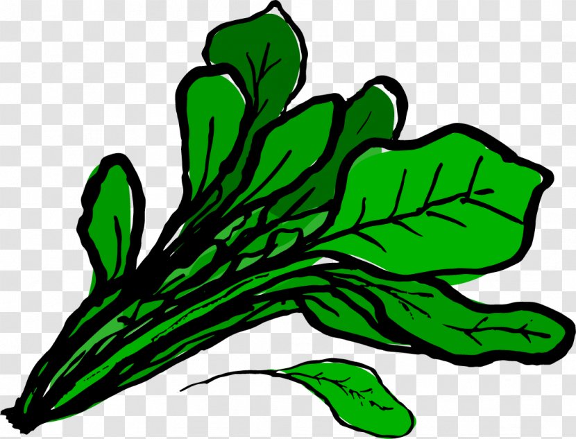 Food Spinach Leaf Clip Art - Flower Transparent PNG
