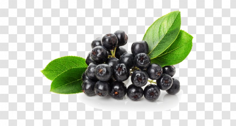 Juice Organic Food Chokeberry Fruit - Blackberry - 100-natural Transparent PNG