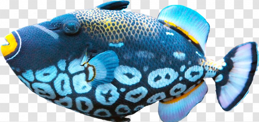 Fish Food Clip Art - Tropical - Download Free Transparent PNG