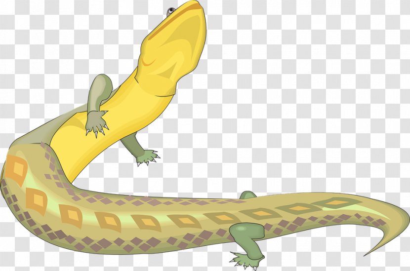 Lizard Reptile Yellow Dinosaur - House Geckos Transparent PNG