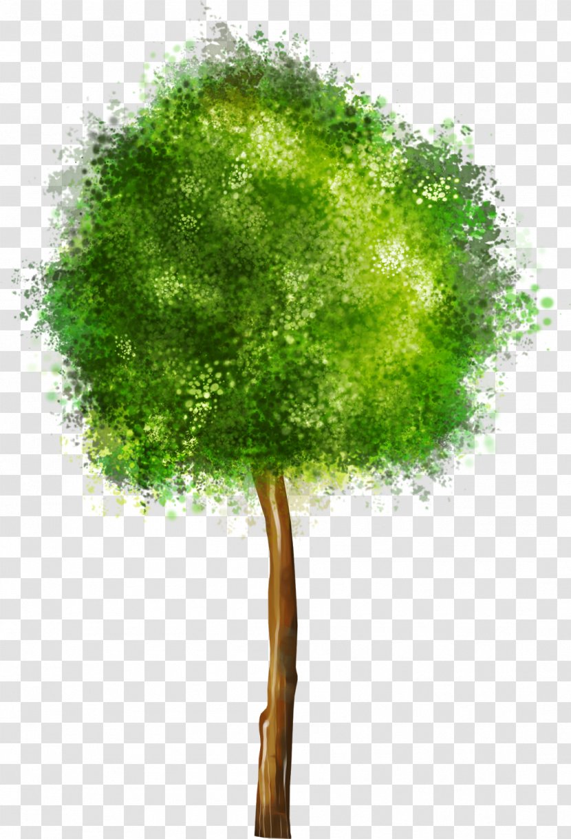 Tree Drawing Clip Art - Sticker - Garden Elements Transparent PNG