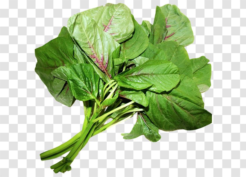Spinach Leaf Vegetable Chard Komatsuna Transparent PNG
