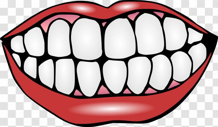 Human Tooth Mouth Lip Clip Art - Tree - Teeth Transparent PNG