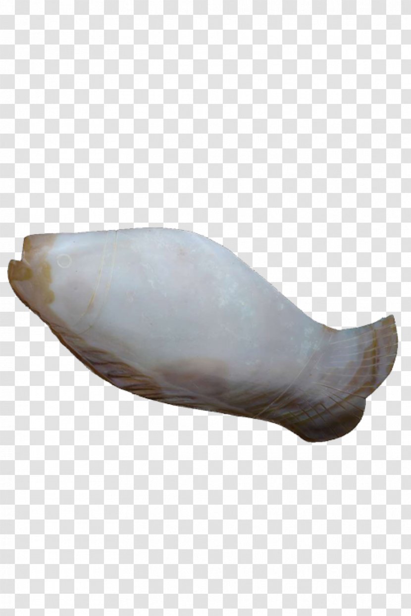 Shoe - Outdoor - Dried Fish Transparent PNG