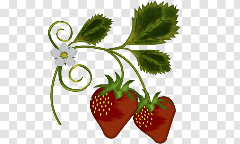 Strawberry Food Shortcake Fruit Amorodo - Blog Transparent PNG