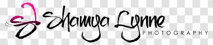 Calligraphy Brand Logo Font - Black - Bill Board Transparent PNG