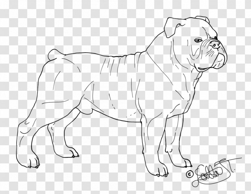 Dog Breed Puppy Non-sporting Group Line Art - Paw - English Bulldog Transparent PNG