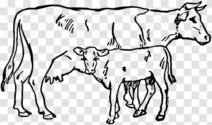 Hereford Cattle Calf Angus Clip Art - Organism Transparent PNG