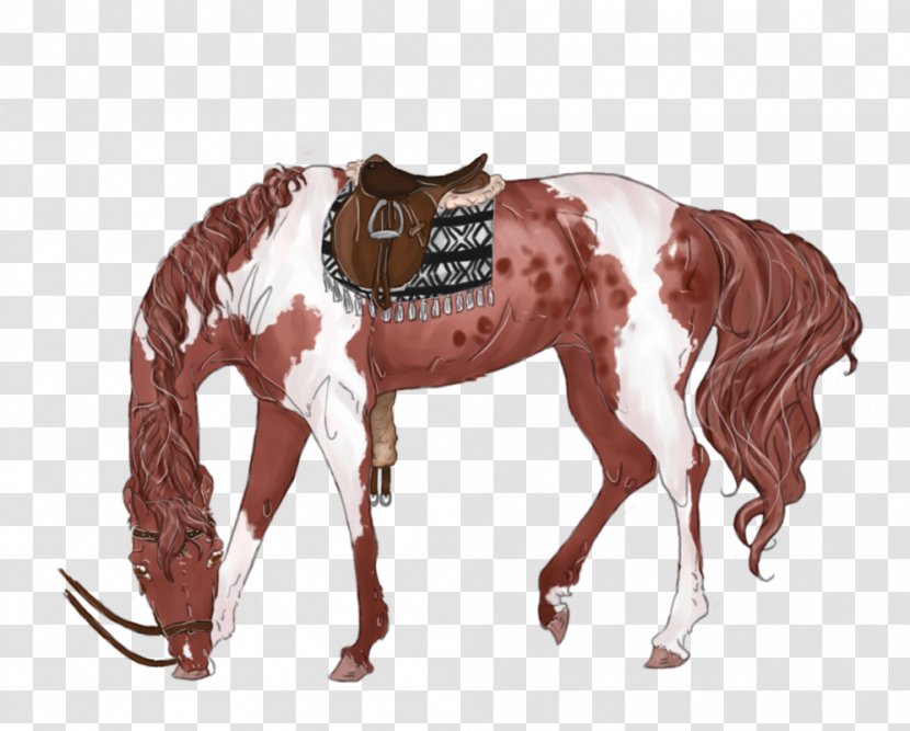 Foal Stallion Mustang Mare Colt - Grazing Transparent PNG