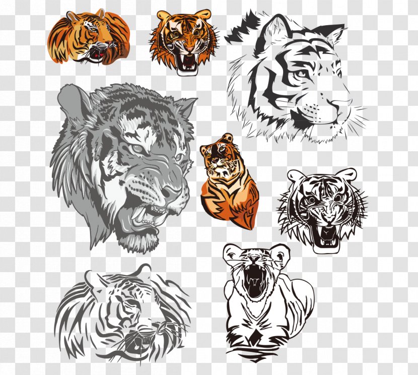 Tiger Euclidean Vector Clip Art - Mammal - Hand Colored Black And White Head Transparent PNG