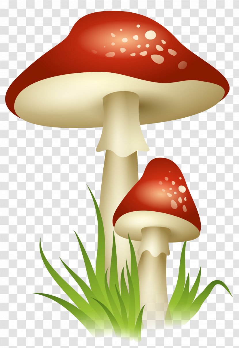 Mushroom Clip Art - Fungus - Mushrooms Transparent Picture Transparent PNG