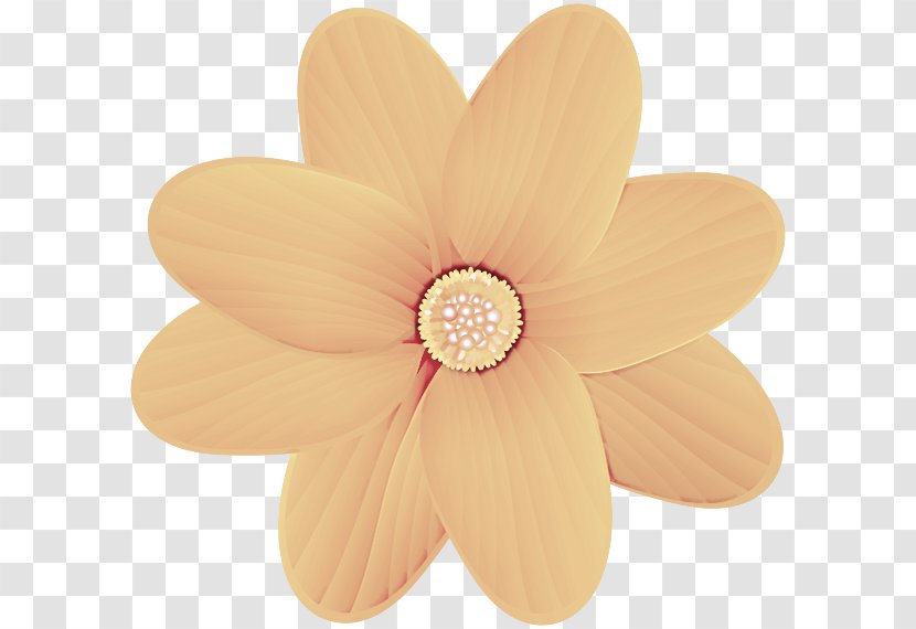 Petal Yellow Flower Plant Gerbera - Wildflower Transparent PNG