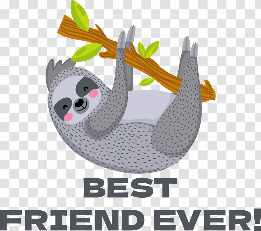 Tiger Koala Dog Lion Cat Transparent PNG