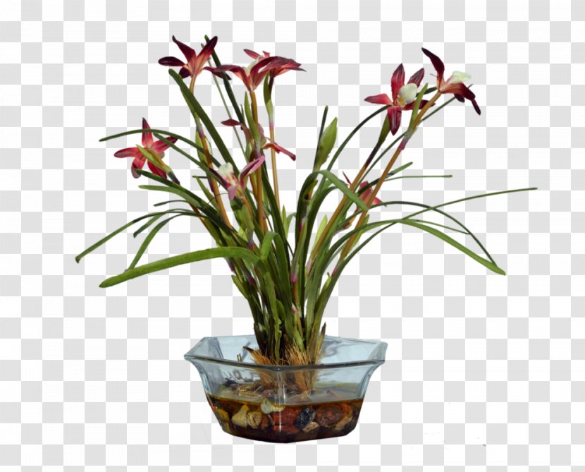 Flower Plant Floral Design Alternanthera Sessilis - Vase - Arrangement Transparent PNG