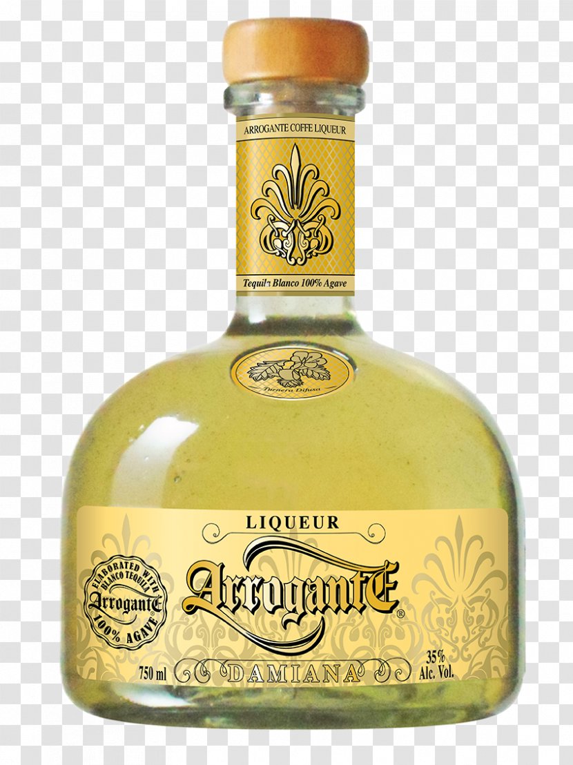 Liqueur Distilled Beverage Triple Sec Tequila Wine - Genepi - Margarita Transparent PNG