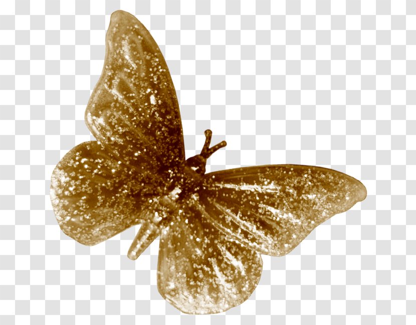 Papillon Dog Butterfly - Invertebrate - Golden Transparent PNG