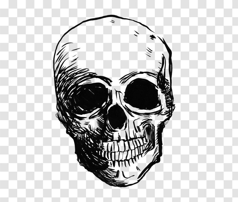 Wine /m/02csf Jaw Skull Drawing - Black And White Transparent PNG