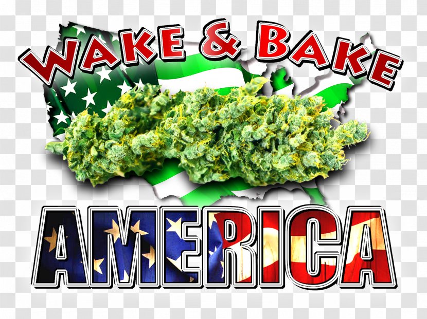 Prohibition In The United States CannabisRadio Dude Grows Show Transparent PNG