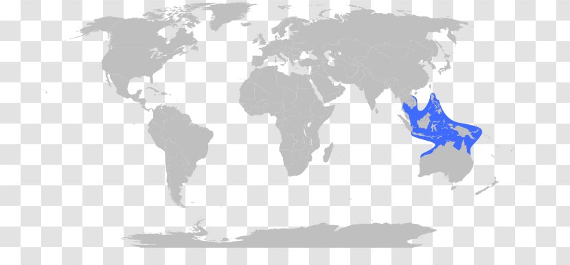 World Map Globe Robinson Projection - Atlas - Chironex Fleckeri Transparent PNG