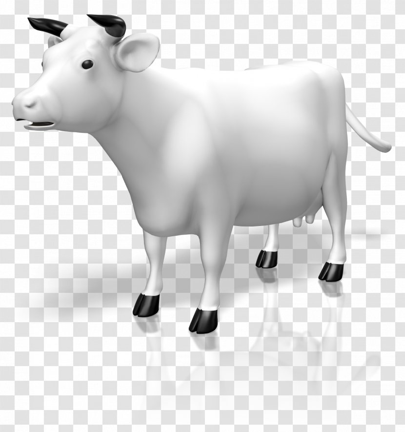 Dairy Cattle Holstein Friesian Ox Livestock Calf - Snout - Cow Food Transparent PNG