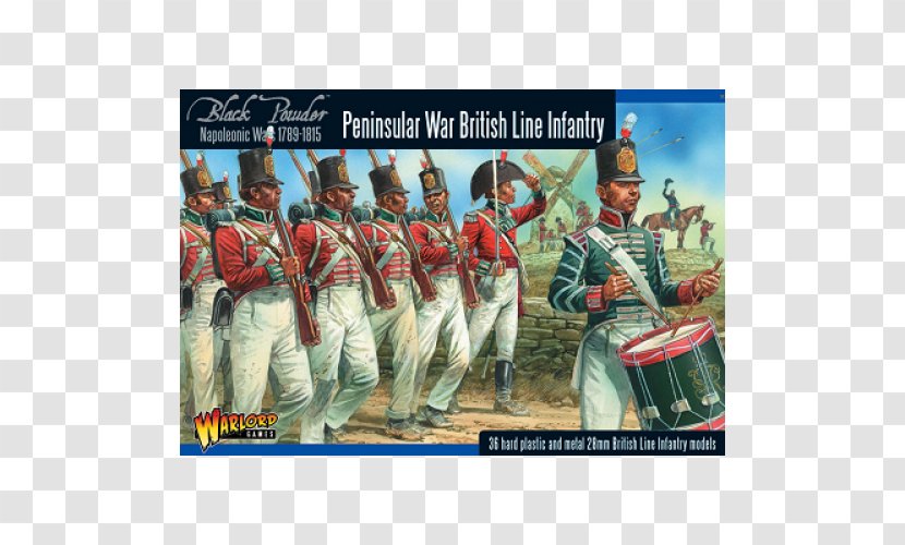 Napoleonic Wars Peninsular War Era Line Infantry Transparent PNG