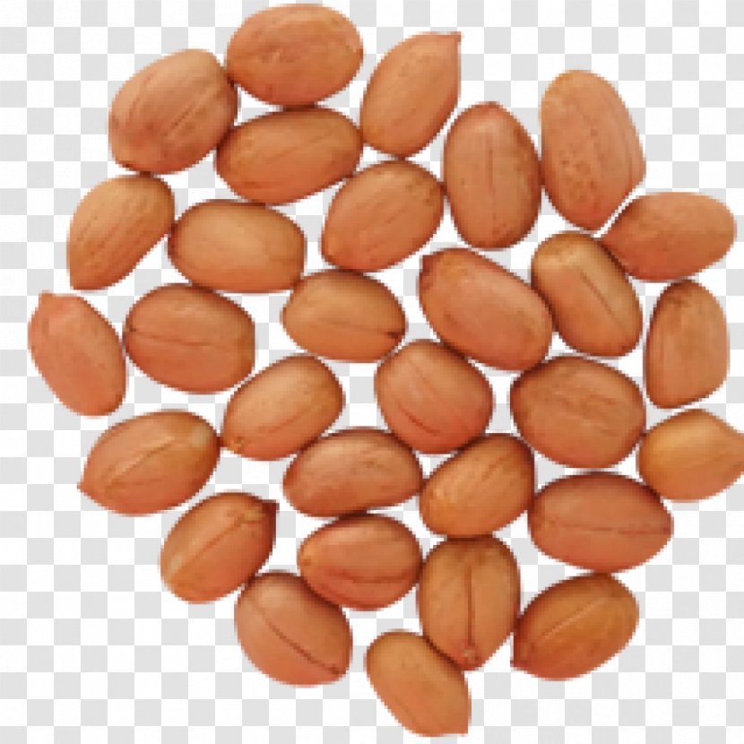 Deep-fried Peanuts Maylari Agro Products Ltd. Boiled - Wilco - Deepfried Transparent PNG