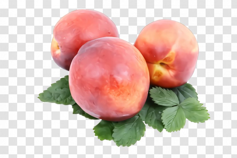 European Plum Peach Fruit Plant Food - Nectarines Transparent PNG