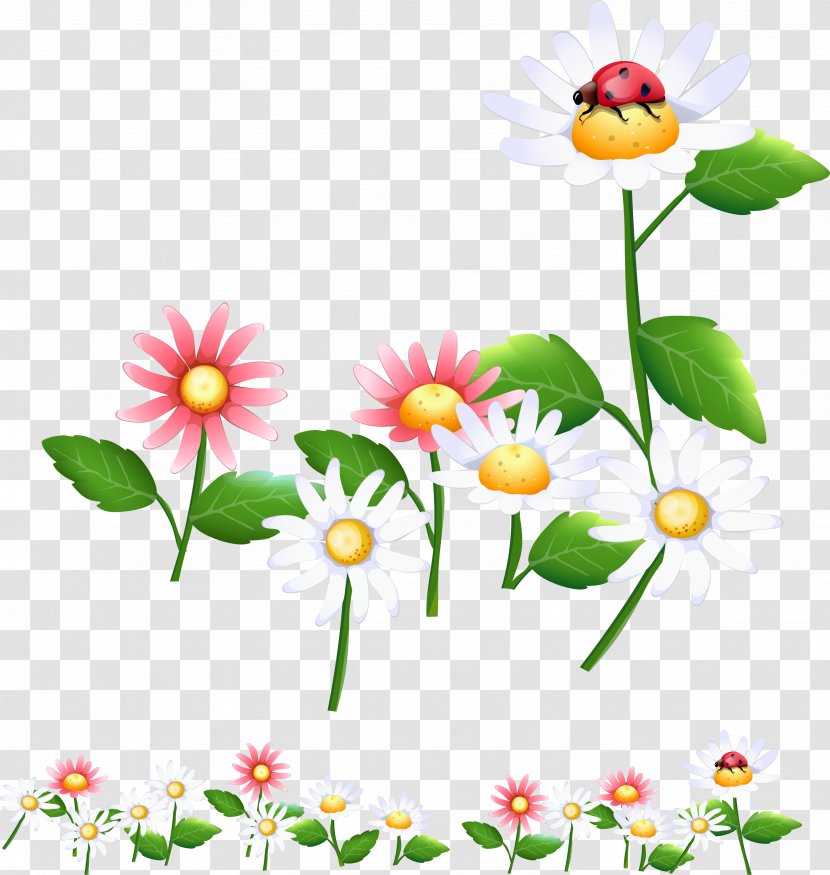 Drawing Clip Art - Daisy Family - Sun Flower Transparent PNG