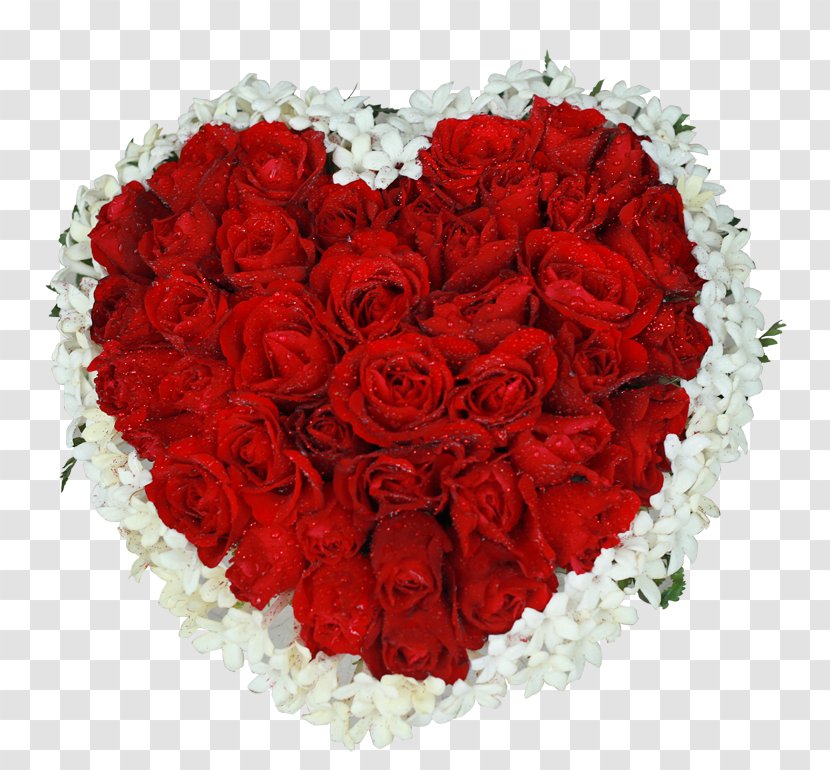 Valentines Day Heart - Flowering Plant Rose Order Transparent PNG