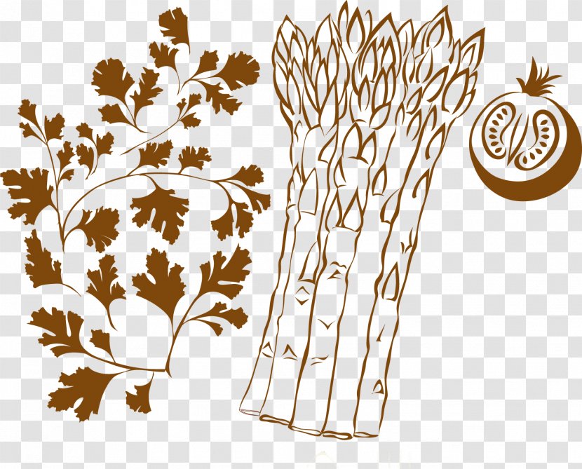 Colosseum Drawing Photography Illustration - Tree - Bamboo Shoots Vector Elements Transparent PNG