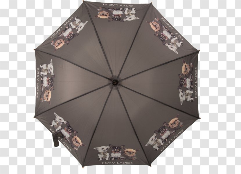 Chihuahua Umbrella Dog Breed Rain Nooit Meer Alleen - Nl Transparent PNG