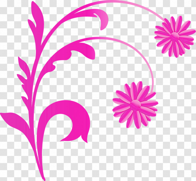 Pink Plant Magenta Flower Petal Transparent PNG