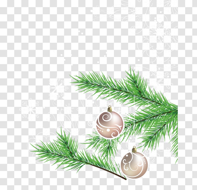 Christmas Ornament Eve Tree Fir Transparent PNG