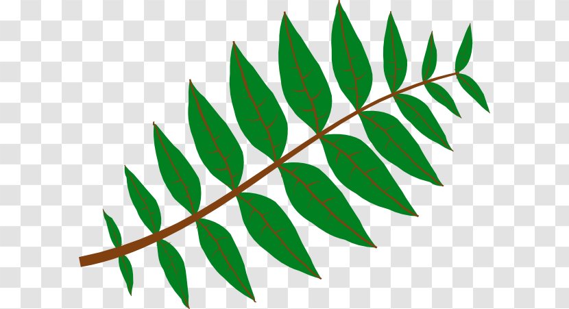 Leaf Plant Jungle Pinnation Clip Art - Rainforest - Justin Cliparts Transparent PNG