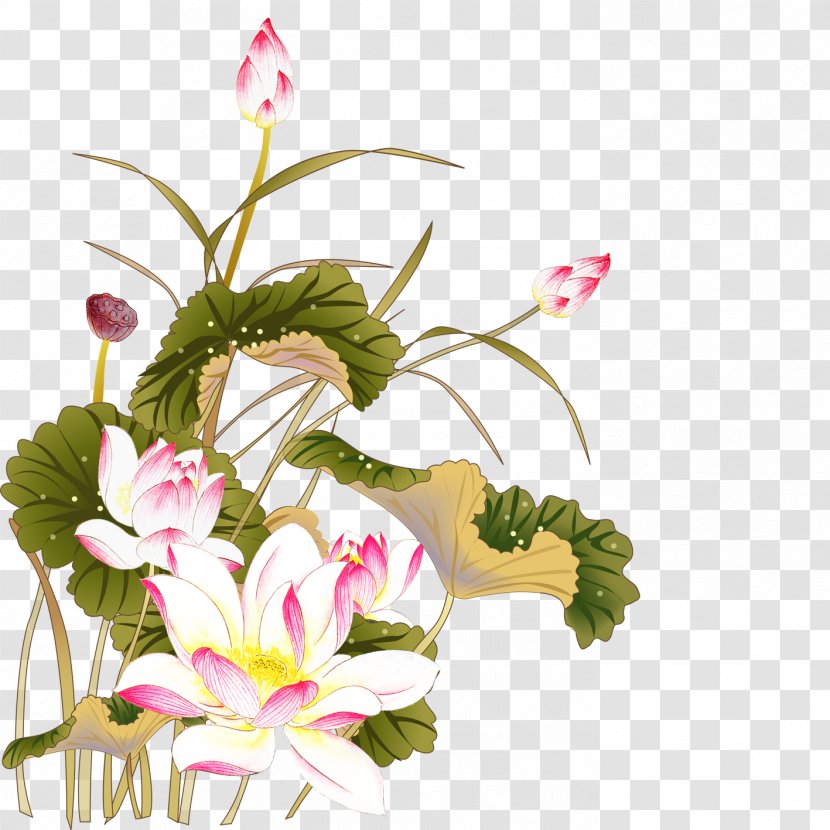 U9999u6e2fu7535u8111u5546u4f1a Mid-Autumn Festival U9999u6e2fu7535u8111u901au8bafu8282 Fundal - Floral Design - Lotus Transparent PNG