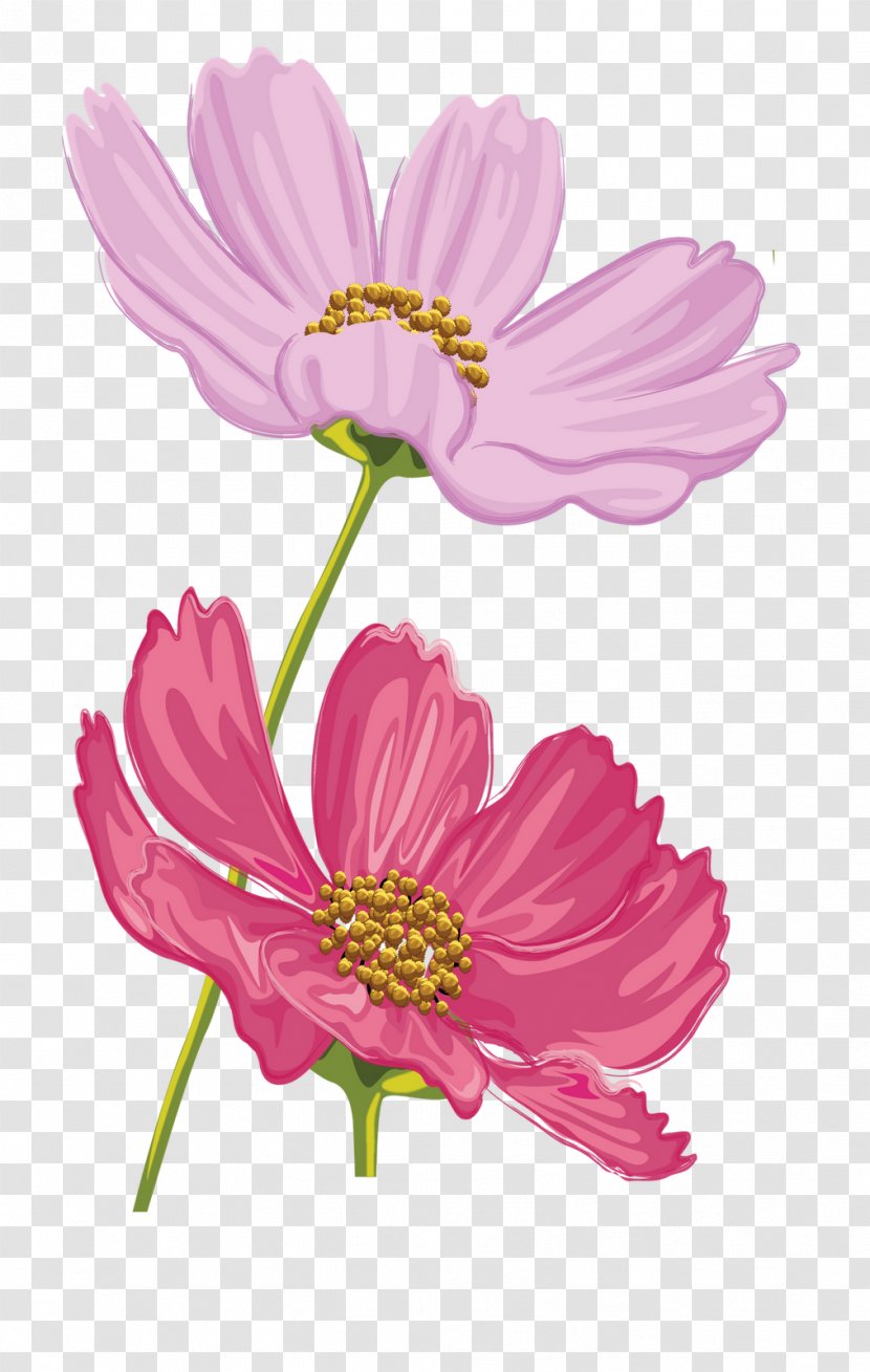 Floral Design Flower Scrapbooking Clip Art - Pink Family Transparent PNG