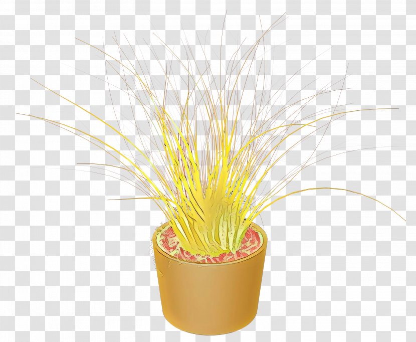 Grasses Flower - Flowerpot Transparent PNG