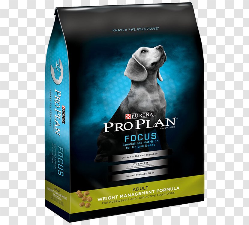 Rottweiler Puppy Dog Food Nestle Purina Petcare Company Weight Management Transparent Png