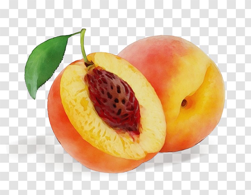 Fruit Food Plant Peach European Plum - Accessory Superfood Transparent PNG