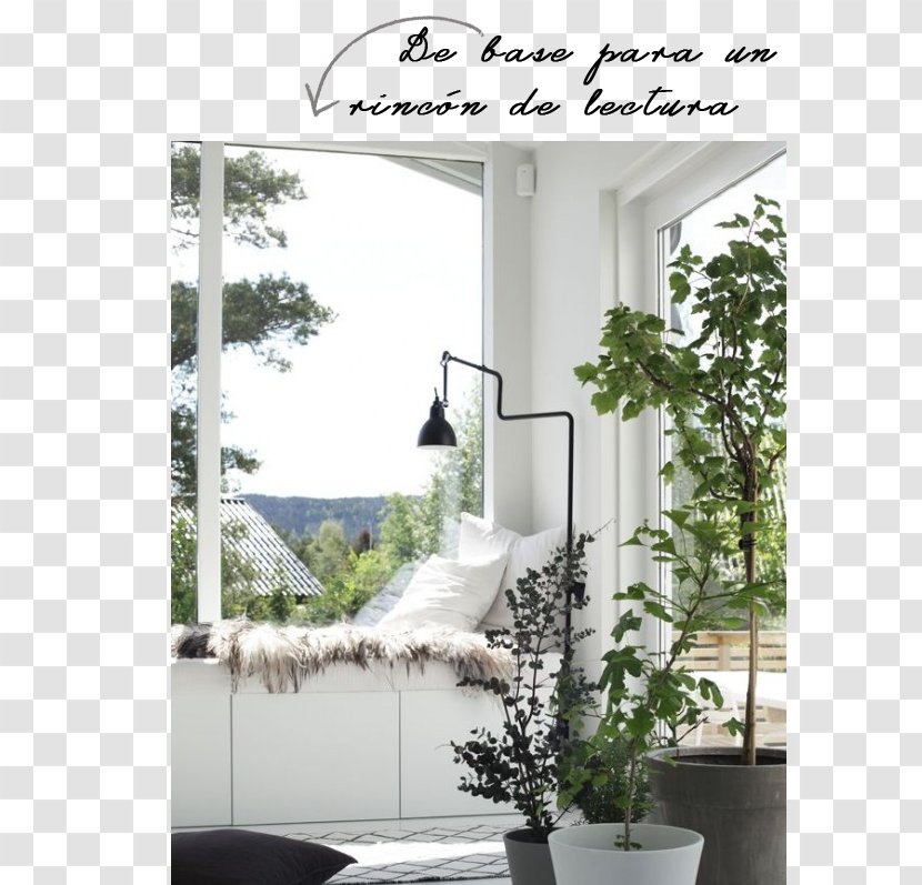 Scandinavia Window Interior Design Services Living Room House - Houseplant Transparent PNG