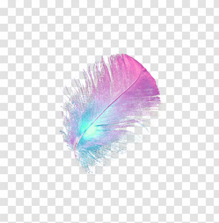 Bird Feather - Feather,hair,Feather Figure Transparent PNG