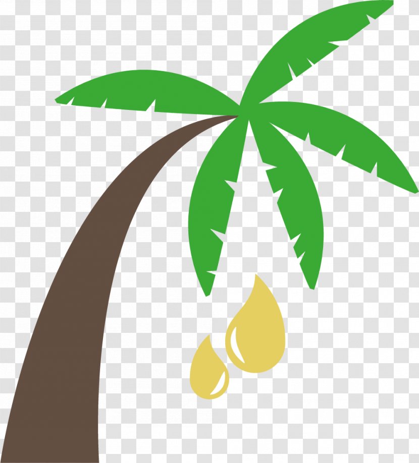Arecaceae Palm Oil Clip Art - Logo - Vegetable Collection Transparent PNG