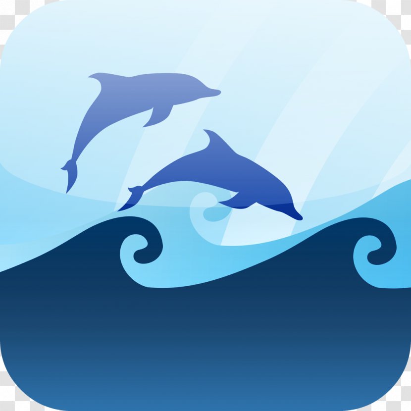 Common Bottlenose Dolphin Wind Wave Seawater Marine Mammal - Nose Transparent PNG