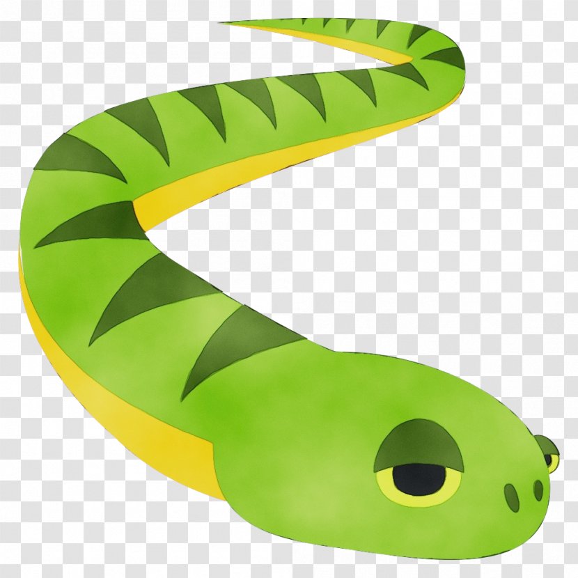 Green Background - Snake - Western Mamba Reptile Transparent PNG