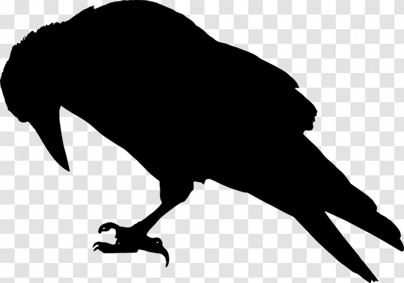 The Raven Common Silhouette Clip Art - Vogelschwarz Transparent PNG